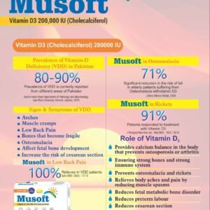 Musoft